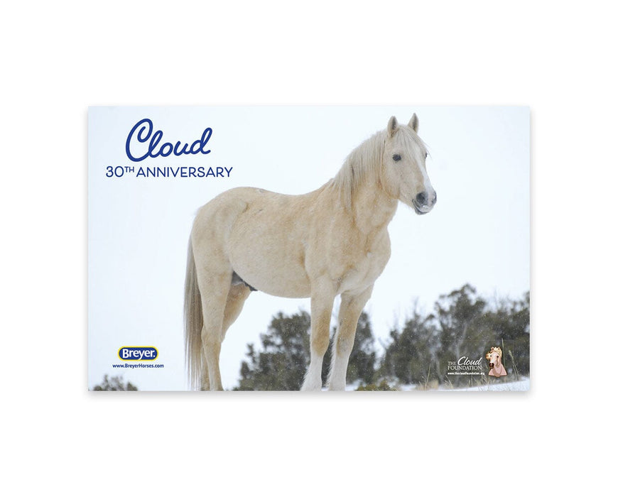 Cloud | 30th Anniversary Edition real horse picture