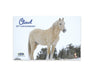 Cloud | 30th Anniversary Edition real horse picture