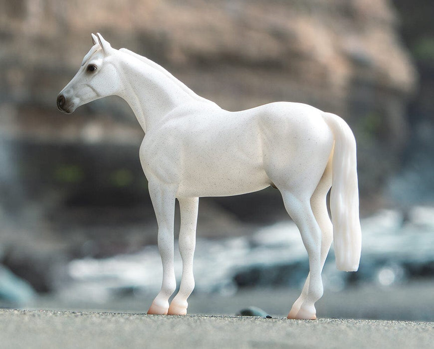 Fleabitten Grey Thoroughbred on a rocky shore