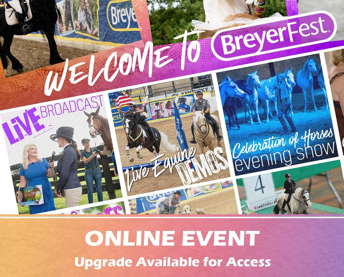 General Admission Ticket BreyerFest 2024