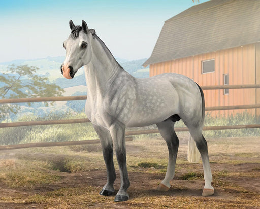 Hanoverian Stallion on Farm background