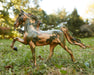 Honor | 2025 Hope Horse standing in a grass field