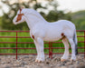 Breyer Hytyme Legend - Kentucky Horse Park Mounted Police