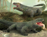 Komodo Dragon - Two shown together