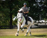 Legend - with Mounted Police Rider - © Kentucky Horse Park