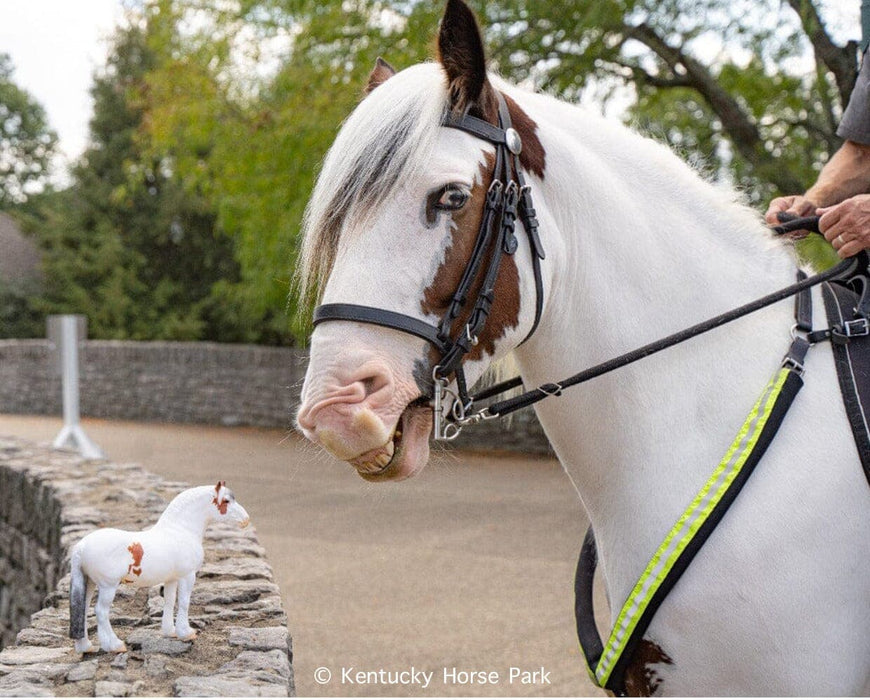 Legend Horse with Breyer Model