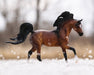 Mahogany Bay Arabian - in snow