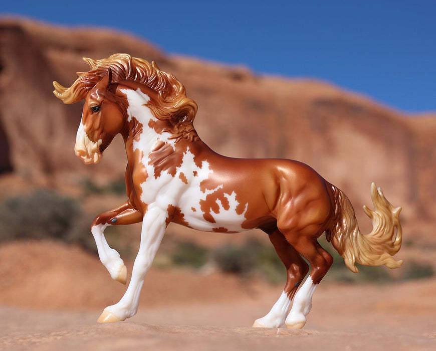 Mojave in a rocky desert background