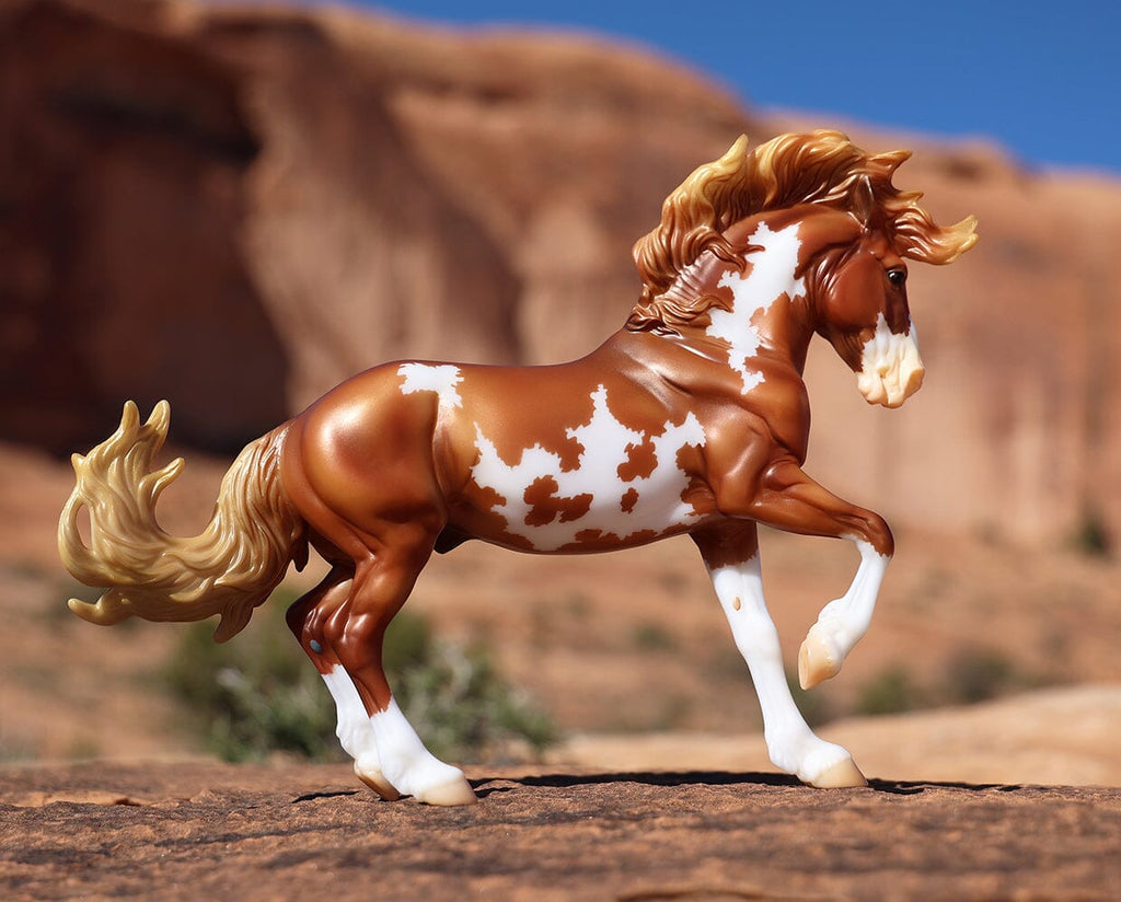 Deals Breyer