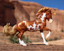 Mojave facing right on a rocky desert background