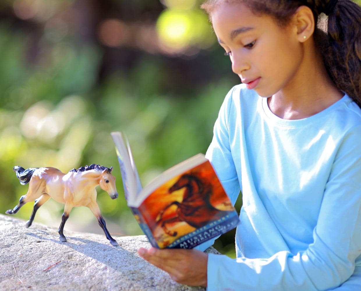 Shop Books & Horses - A girl reading Mustang, Wild Spirit of the West Book Set