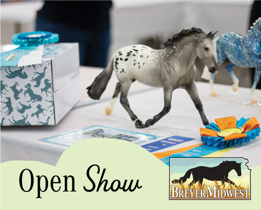 Open Model Horse Show | BreyerMidwest 2025 - featuring a grey appaloosa and a ribbon