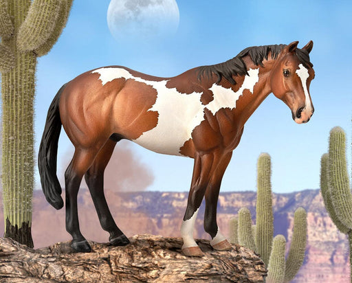 Paint Horse - Bay Overo with cactus on a cliff