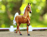 Palomino Saddlebred in an outdoor arena setting