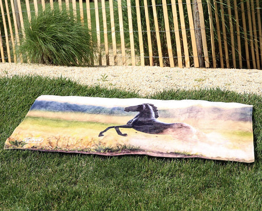 Quarter Horse Beach & Bath Towel on the grass