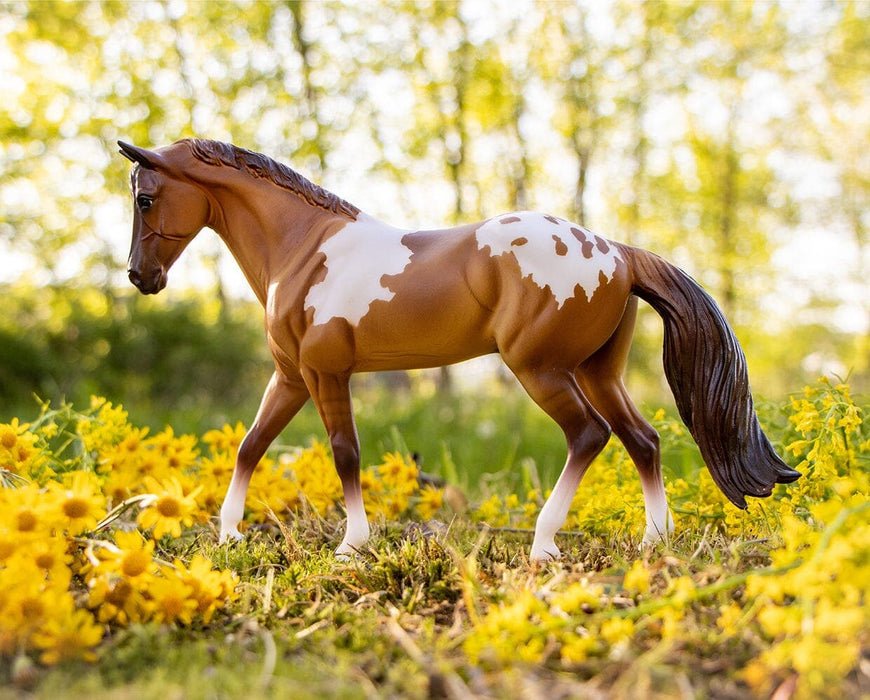 Red Dun Pintaloosa in a field of flowers