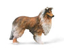 Rough Collie