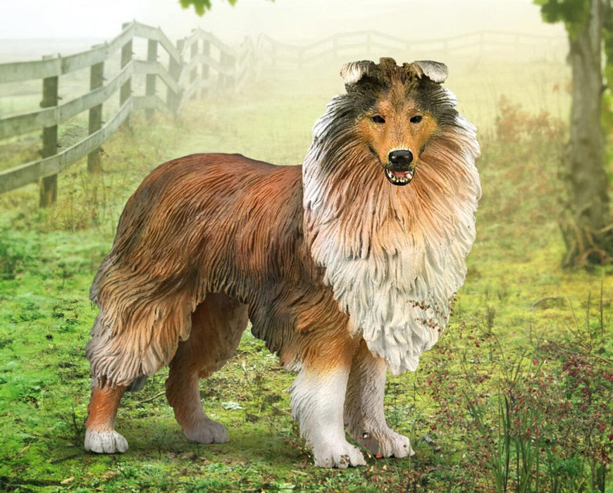 Rough Collie on a farm background