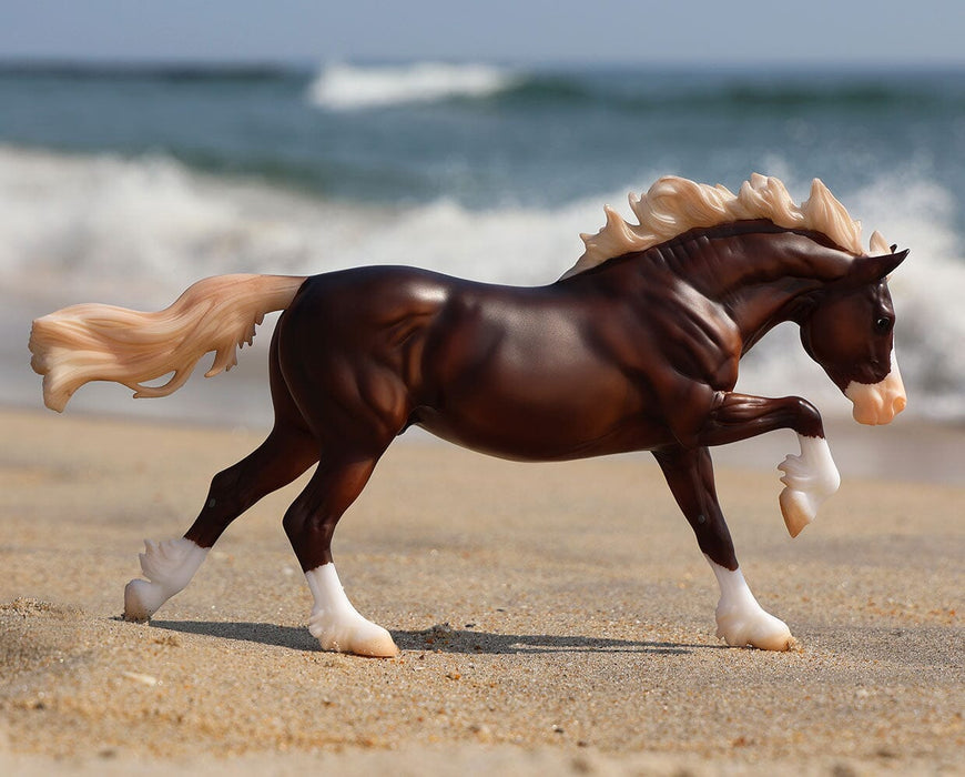 Surfer’s Riptide | Chincoteague Pony facing right on the beach