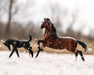 Wild & Free Horse & Foal Set - in snow