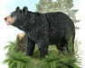 Breyer by CollectA American Black Bear Animal Figurine Model