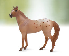 Things You Did Not Know About the Appaloosa - Welcome to Horse Properties  Blog