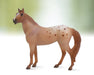 Appaloosa