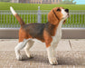 Beagle Model Breyer 