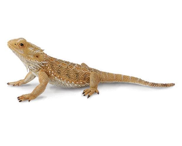 Bearded Dragon Lizard Model Breyer 