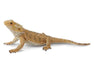 Bearded Dragon Lizard Model Breyer 