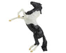 Black Pinto Rearing Mustang Model Breyer 