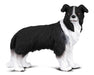 Border Collie Model Breyer 