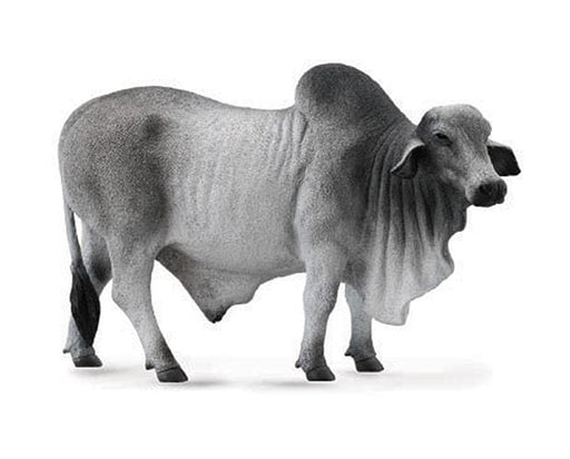 Brahman Bull Model Breyer 