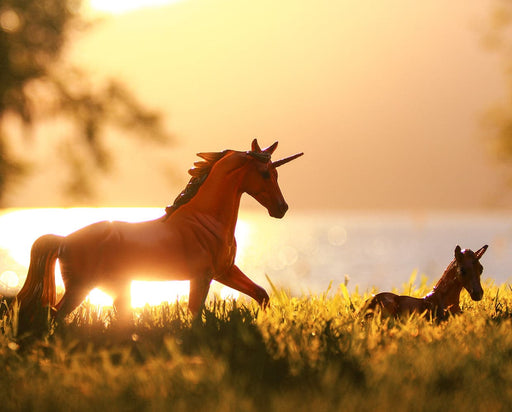 Ceres & Minerva in a field with sunlight radiating behind them