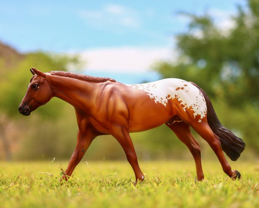 Chocolatey Model Breyer 