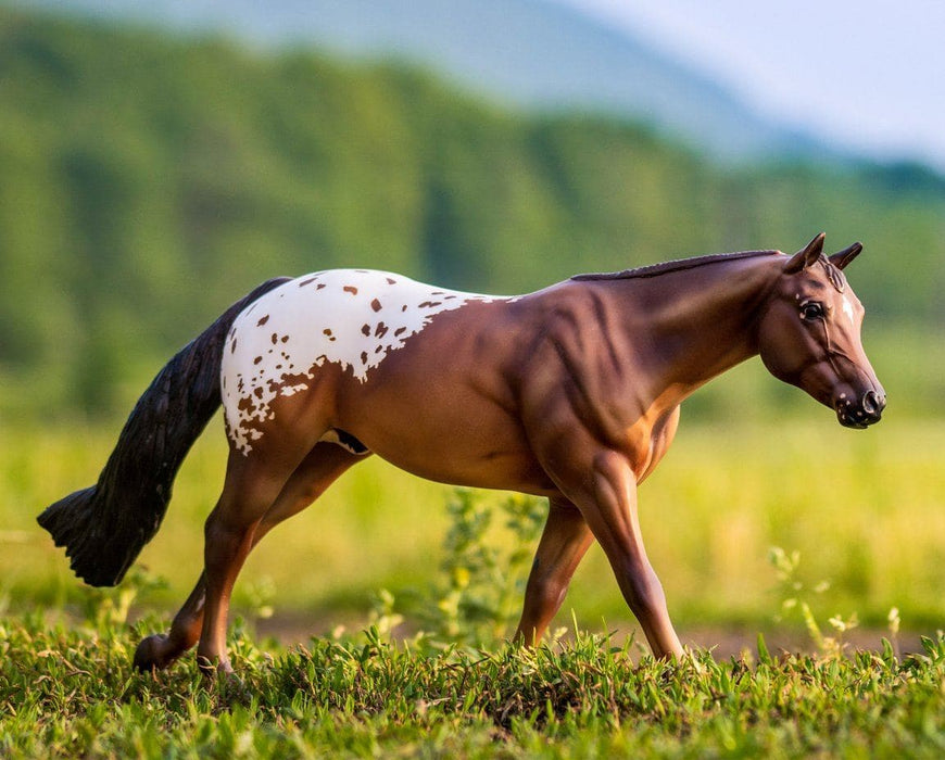 Chocolatey Model Breyer 