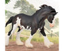 Clydesdale Stallion - Black Sabino