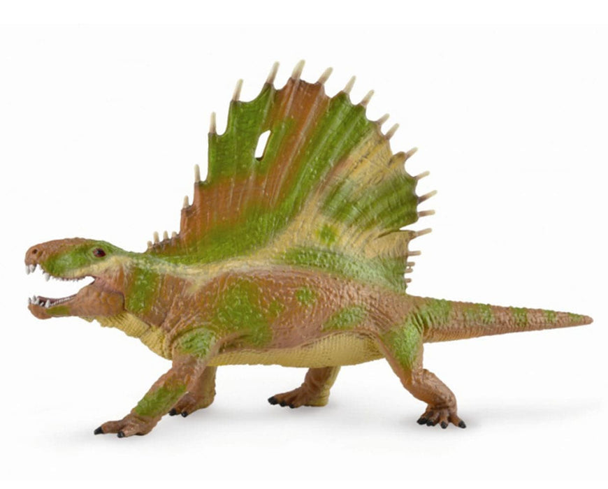 Dimetrodon with Moveable - Deluxe 1:20 Scale