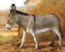 Breyer CollectA Donkey Figurine