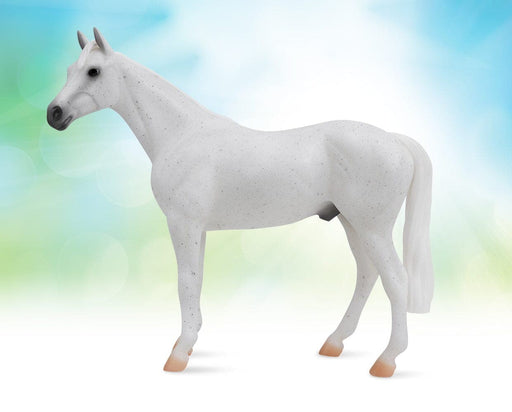 Fleabitten Grey Thoroughbred on background