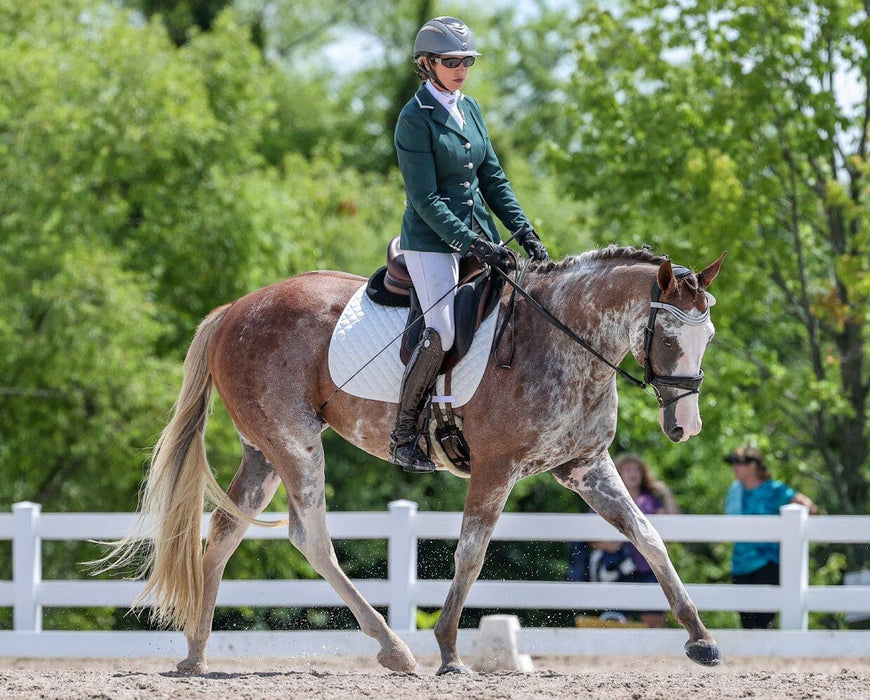 Full Moon Rising - Live Horse and Rider