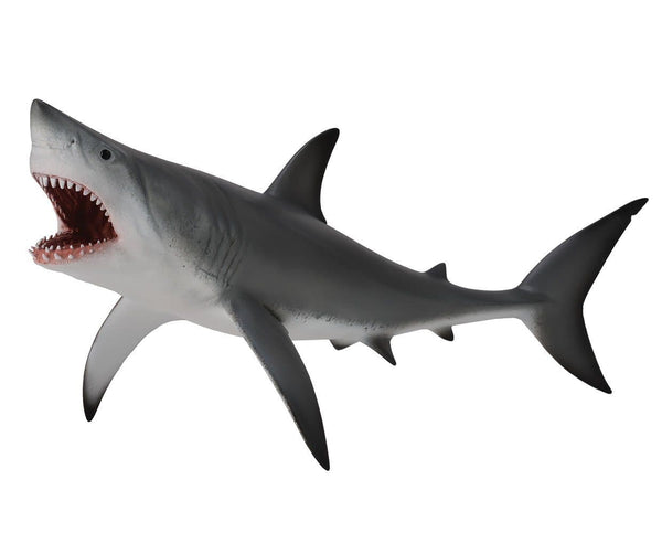 Great White Shark Realstic