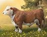 Hereford Bull Model Breyer 