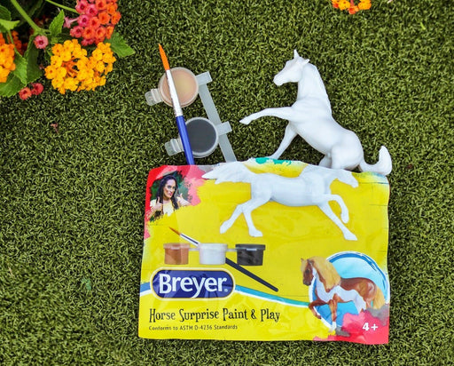 Horse Surprise Paint & Play Blind Bag Model Breyer 