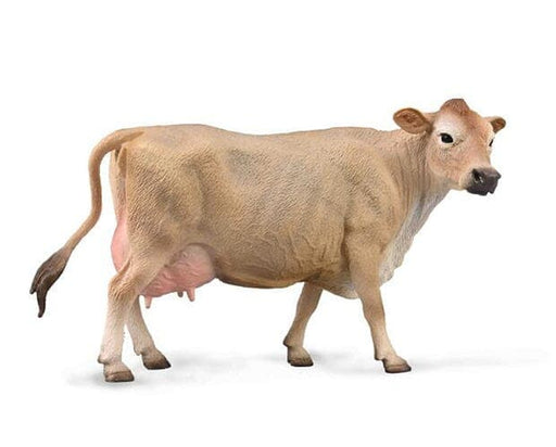 Jersey Cow