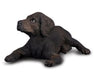 Labrador Retriever Puppy Model Breyer 