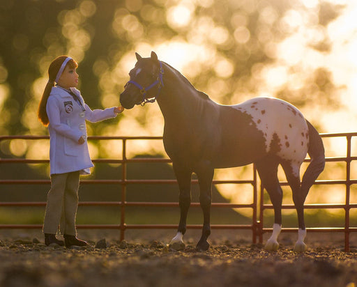 Laura - Veterinarian 8" Figure Model Breyer 