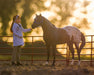 Laura - Veterinarian 8" Figure Model Breyer 