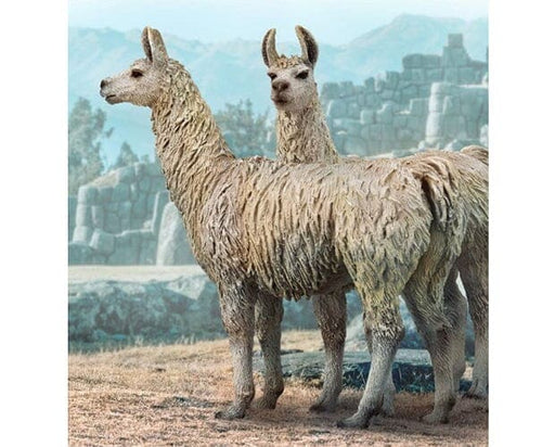 2 Llama's Shown together