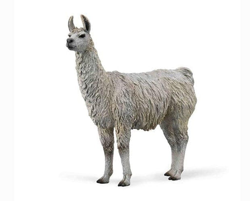 Llama